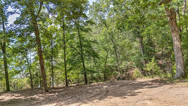 Indian Creek Rd, Garfield, AR 72732 - photo 19