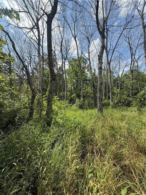 0 Dunkard, Harrison, AR 72601 - photo 3