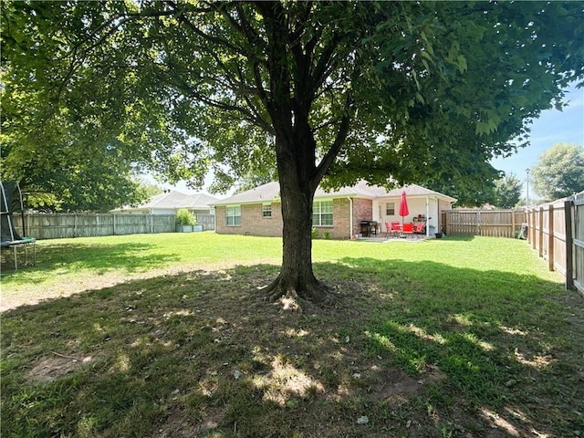 46 Briarmeadow St, Farmington, AR 72730 - photo 31