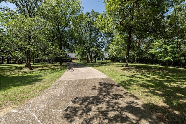 2800 N Sherwood Ln, Fayetteville, AR 72703 - photo 4