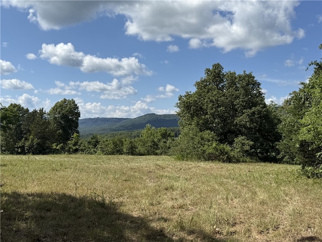138 Hc 73, Marble Falls, AR 72648 - photo 30
