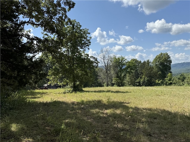 138 Hc 73, Marble Falls, AR 72648 - photo 31