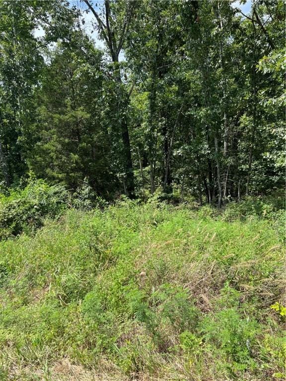 LOT6 Forfar Dr, Bella Vista, AR 72715 - photo 3