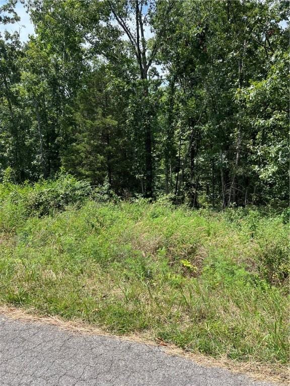 LOT6 Forfar Dr, Bella Vista, AR 72715 - photo 4