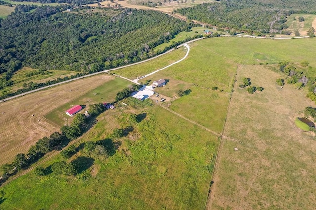 299 W Lowery Rd, Lead Hill, AR 72644 - photo 6