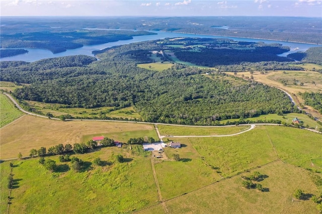 299 W Lowery Rd, Lead Hill, AR 72644 - photo 8