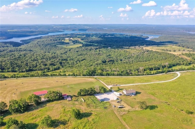 299 W Lowery Rd, Lead Hill, AR 72644 - photo 10