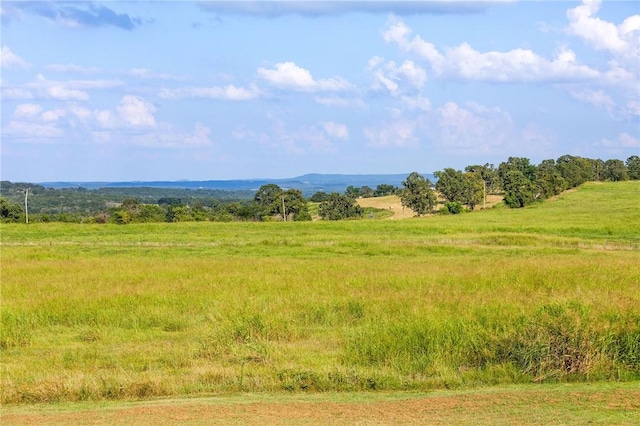 299 W Lowery Rd, Lead Hill, AR 72644 - photo 22