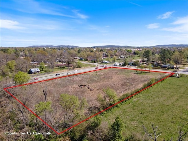 3604 S Turner St, Springdale, AR 72764 - photo 4