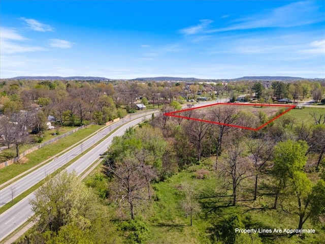 3604 S Turner St, Springdale, AR 72764 - photo 6
