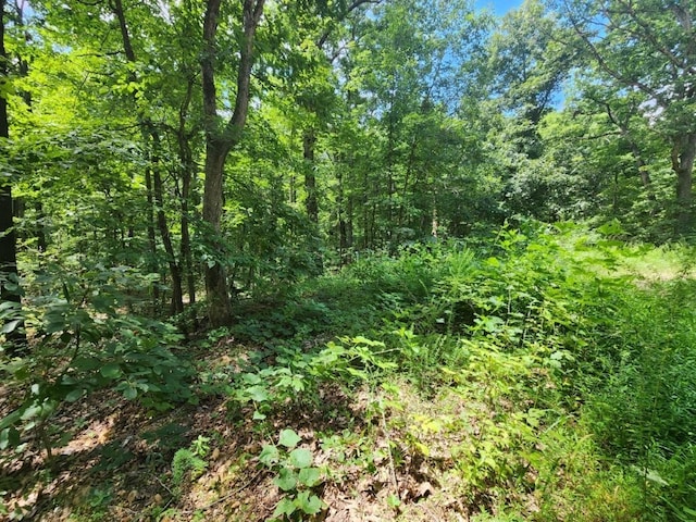 LOT16 Kettering Ln, Bella Vista, AR 72714 - photo 3