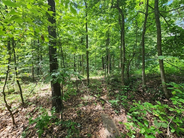 LOT16 Kettering Ln, Bella Vista, AR 72714 - photo 4