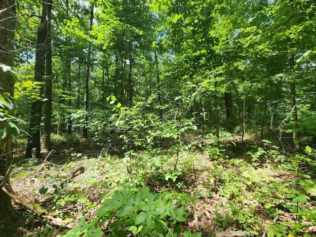LOT16 Kettering Ln, Bella Vista, AR 72714 - photo 5