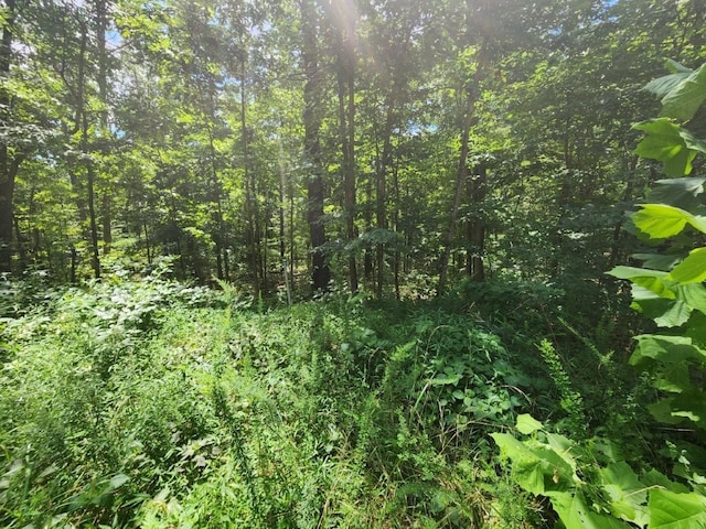 LOT16 Kettering Ln, Bella Vista, AR 72714 - photo 7