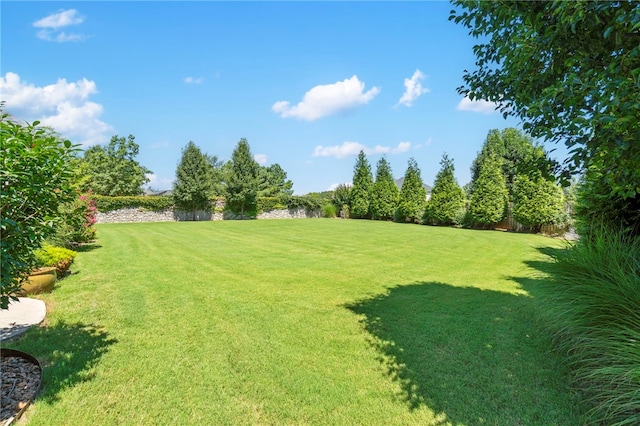 401 Trailwood Cir, Centerton, AR 72719 - photo 48