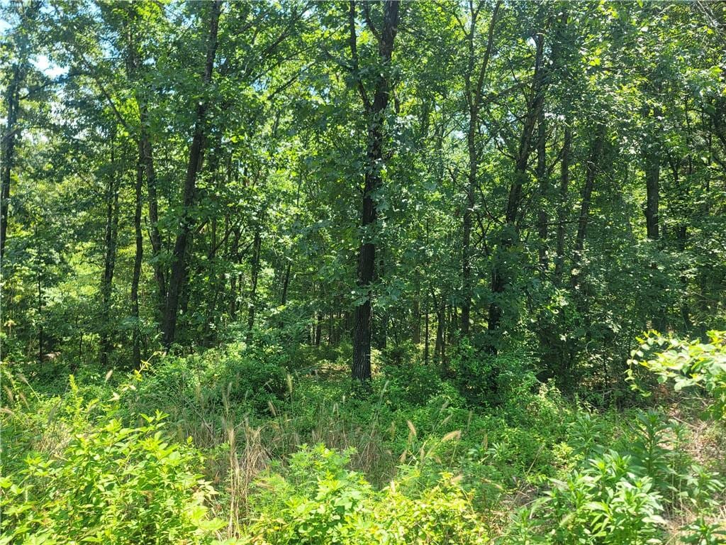 LOT22, BLOCK4 Nairn Ln, Bella Vista, AR 72715 - photo 2