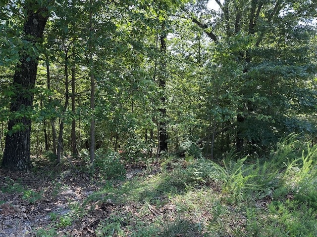 LOT44 Reading Ln, Bella Vista, AR 72714 - photo 1