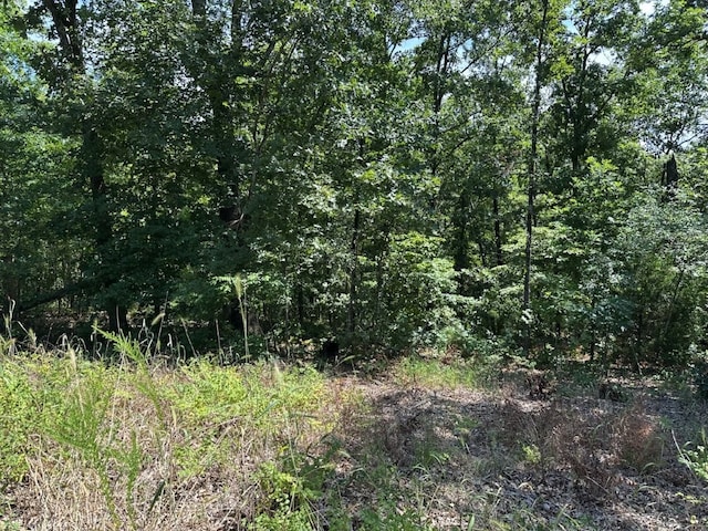 LOT44 Reading Ln, Bella Vista, AR 72714 - photo 2