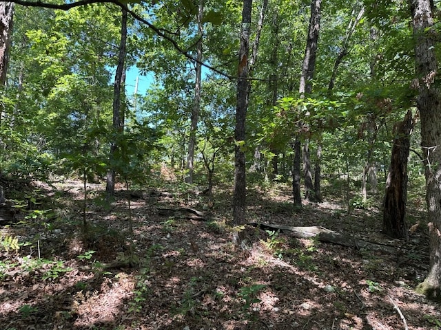 LOT44 Reading Ln, Bella Vista, AR 72714 - photo 3