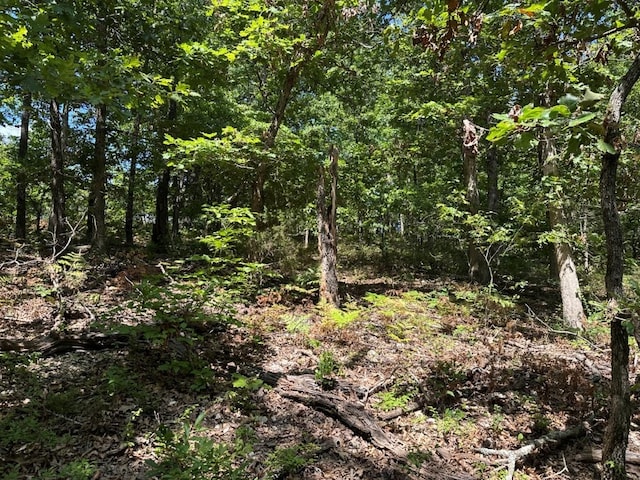 LOT44 Reading Ln, Bella Vista, AR 72714 - photo 4