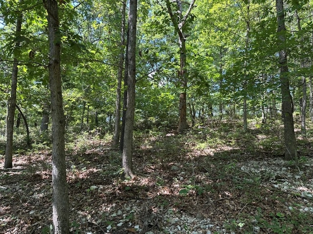 LOT44 Reading Ln, Bella Vista, AR 72714 - photo 5