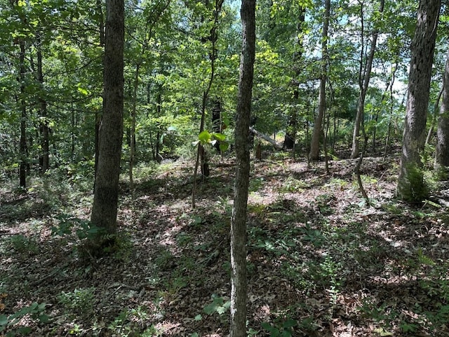 LOT44 Reading Ln, Bella Vista, AR 72714 - photo 6