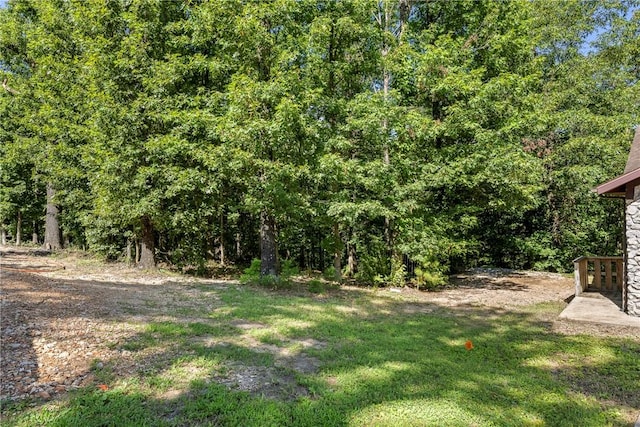 32 Saint Austell Dr, Bella Vista, AR 72714 - photo 36