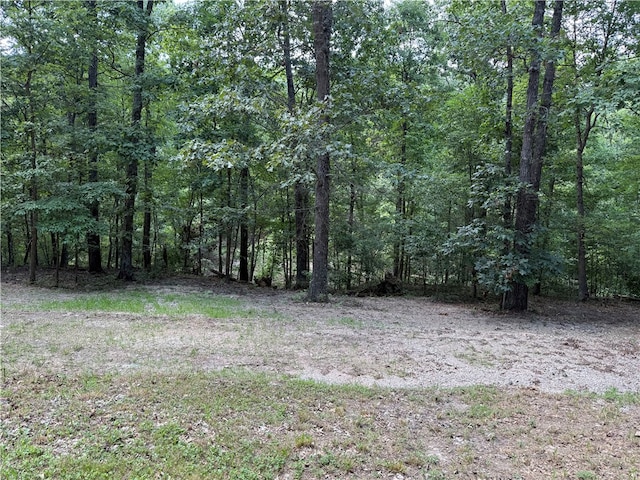 32 Saint Austell Dr, Bella Vista, AR 72714 - photo 37