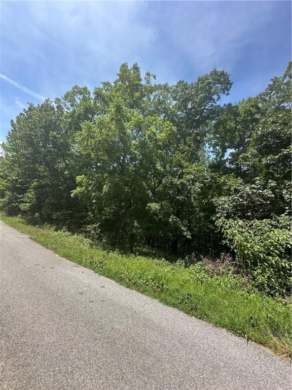 Rillington Dr, Bella Vista, AR 72714 - photo 3