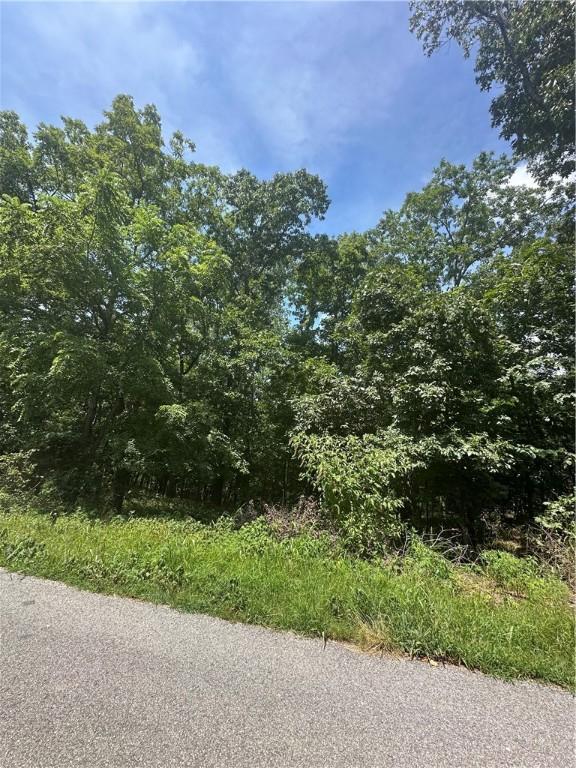 Rillington Dr, Bella Vista, AR 72714 - photo 5