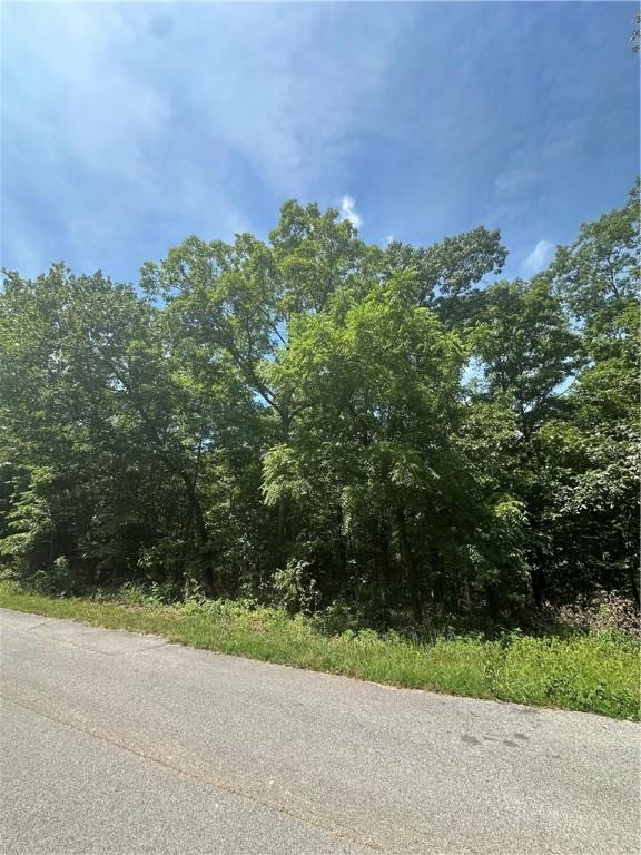 Rillington Dr, Bella Vista, AR 72714 - photo 4