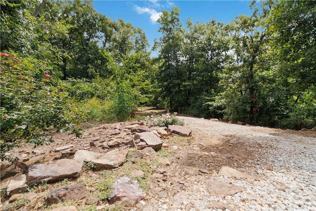 18544 Bug Scuffle Rd, West Fork, AR 72774 - photo 44