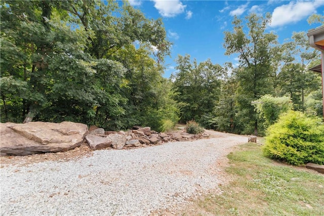 18544 Bug Scuffle Rd, West Fork, AR 72774 - photo 43