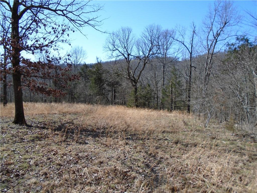 001-08657-000 Mc 8041, Yellville, AR 72687 - photo 1