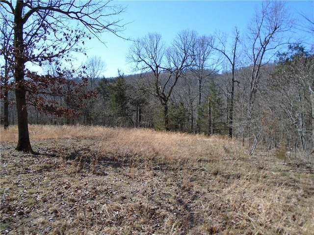 001-08657-000 Mc 8041, Yellville, AR 72687 - photo 1