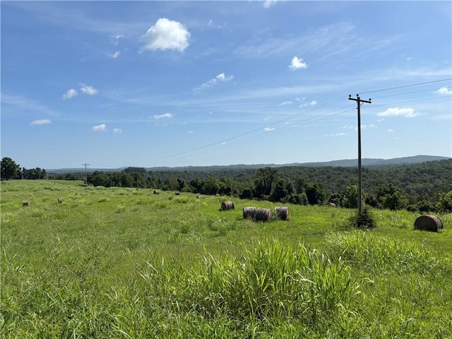 149 Madison Unit 8052, Rogers, AR 72756 - photo 50