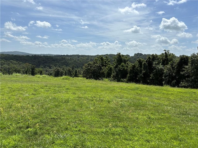 149 Madison Unit 8052, Rogers, AR 72756 - photo 49