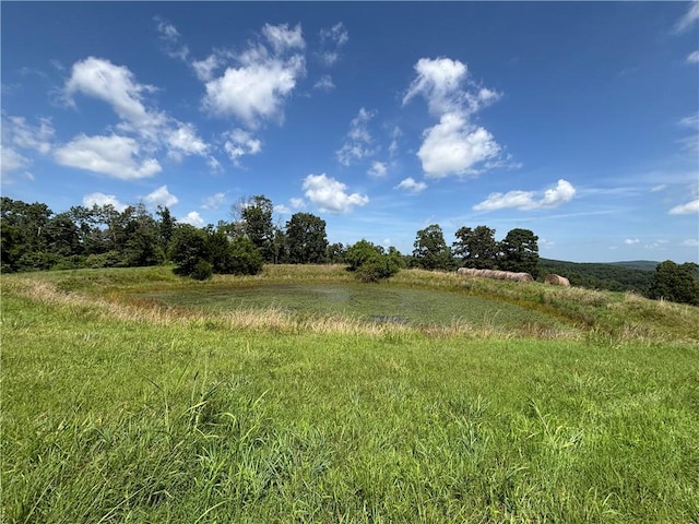 149 Madison Unit 8052, Rogers, AR 72756 - photo 48