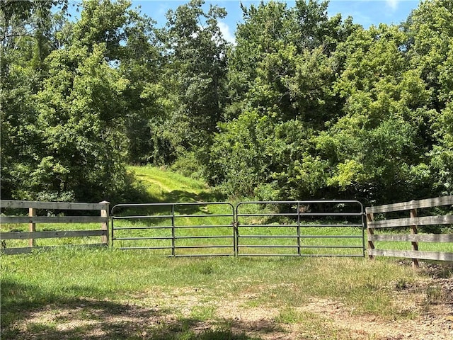 149 Madison Unit 8052, Rogers, AR 72756 - photo 9