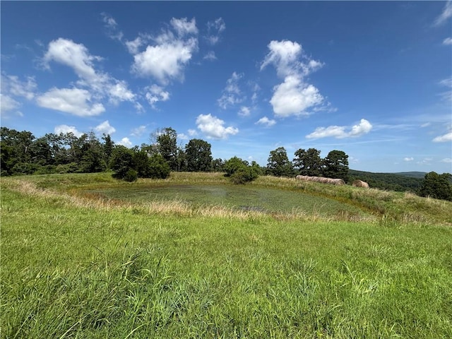 149 Madison Unit 8052, Rogers, AR 72756 - photo 31