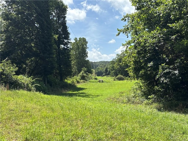 149 Madison Unit 8052, Rogers, AR 72756 - photo 38