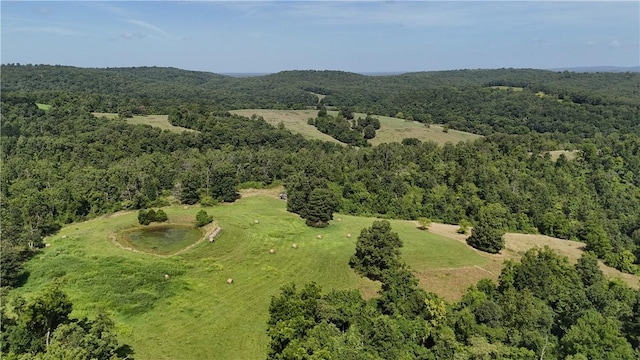 149 Madison Unit 8052, Rogers, AR 72756 - photo 6