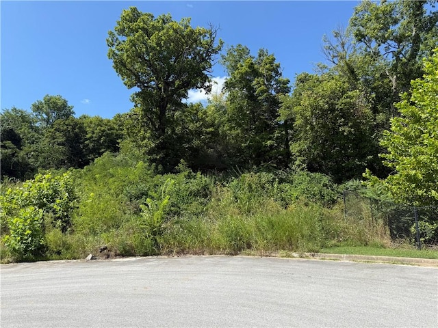 387 Hidden Creek Pl, West Fork, AR 72774 - photo 2