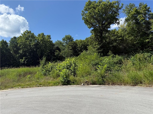 387 Hidden Creek Pl, West Fork, AR 72774 - photo 3