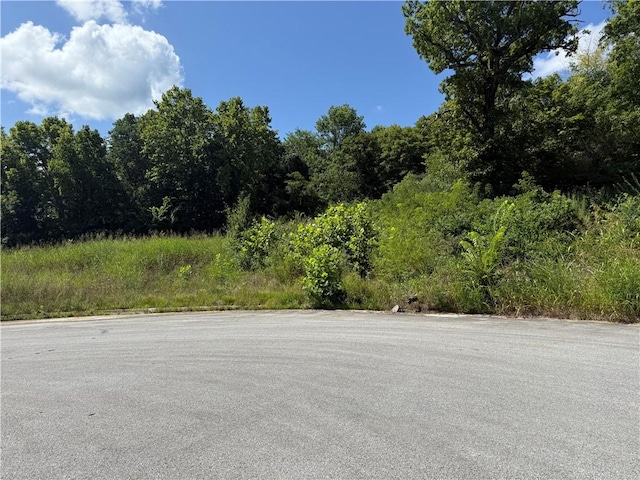 387 Hidden Creek Pl, West Fork, AR 72774 - photo 4