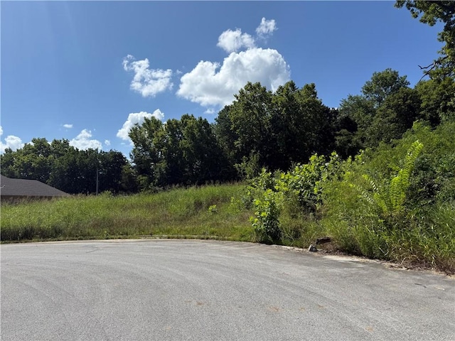387 Hidden Creek Pl, West Fork, AR 72774 - photo 5