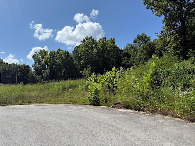 387 Hidden Creek Pl, West Fork, AR 72774 - photo 6