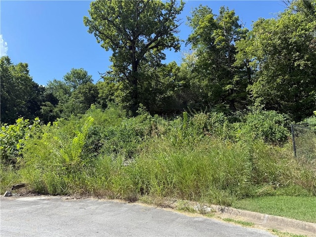 387 Hidden Creek Pl, West Fork, AR 72774 - photo 7
