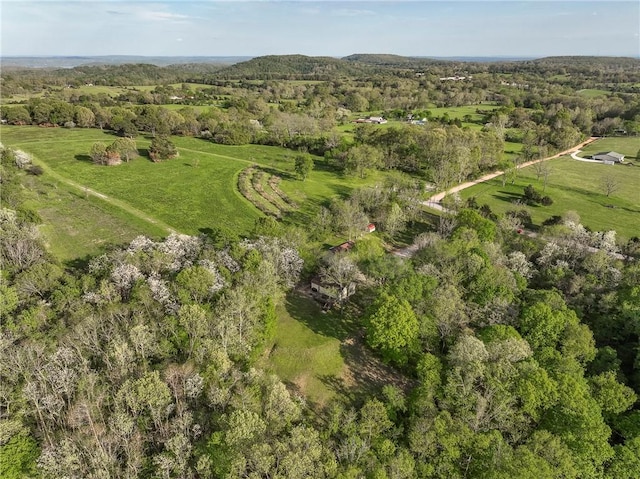 19360 Ford Rd, Garfield, AR 72732 - photo 46