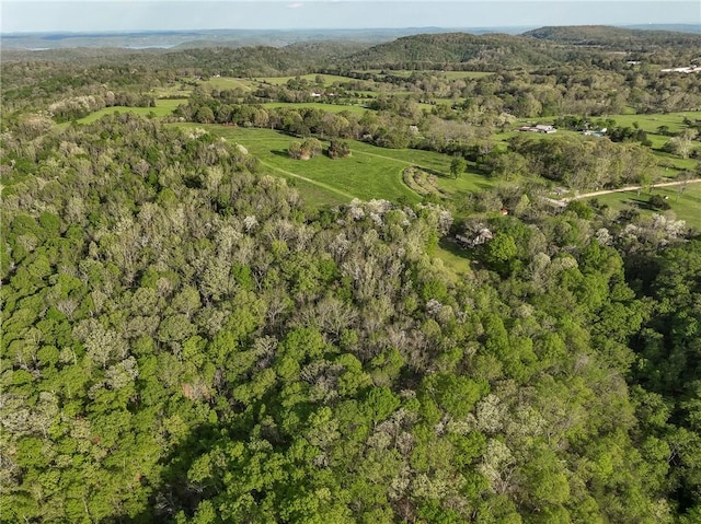 19360 Ford Rd, Garfield, AR 72732 - photo 47